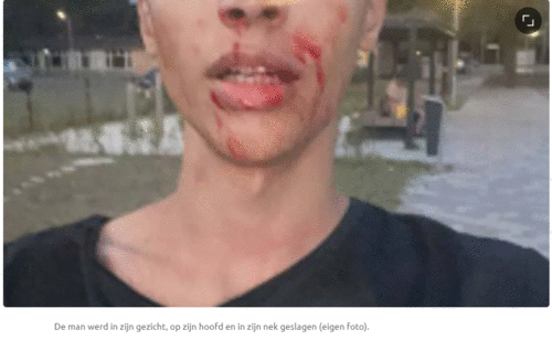 https://www.digigop.nl/forum/fotos/full/2294301.gif
